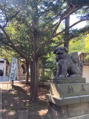 北広島市総鎮守 廣島神社の狛犬