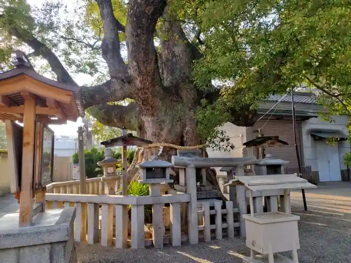 杭全神社(大阪府)