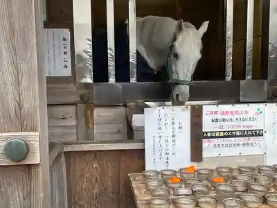 多度大社(三重県)