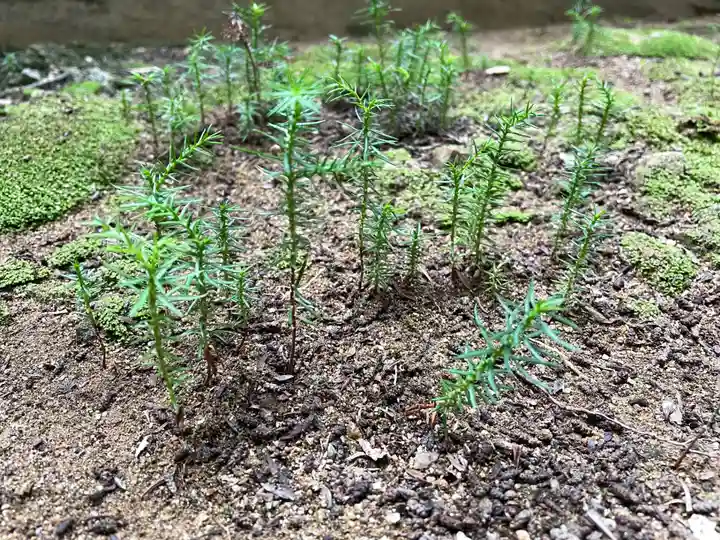 北野神社(福島県)
