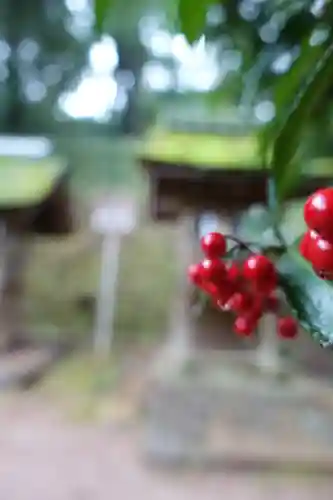 宇治上神社の自然