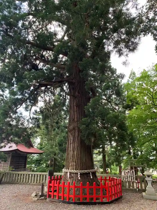志和古稲荷神社の自然