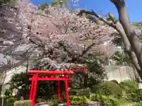 狸穴稲荷社(東京都)