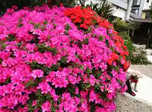 三輪神社の自然(2021年04月15日(木) 11時46分29秒投稿)