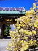 福蔵院(東京都)