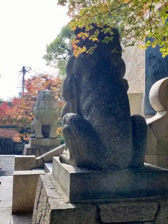 大雲院の狛犬