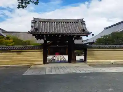 東寺（教王護国寺）(京都府)