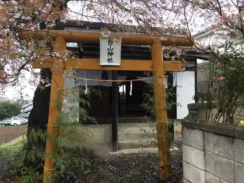 白山神社の鳥居