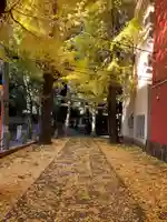 氷川神社(東京都)