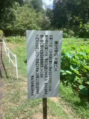 薬王寺のその他建物