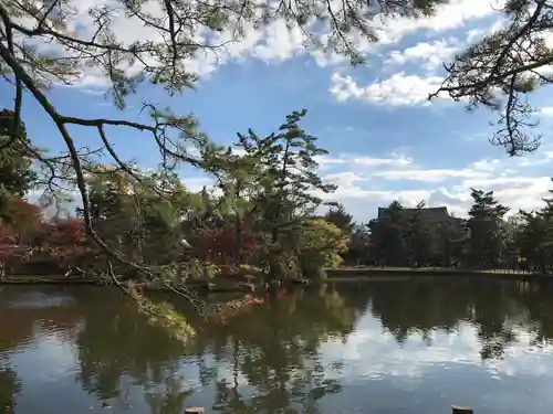東大寺(奈良県)