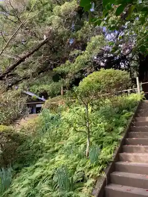 浄光明寺(神奈川県)