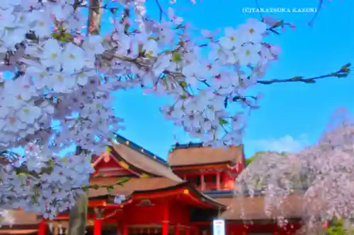 富士山本宮浅間大社(静岡県)