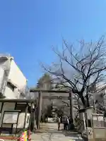 亀戸 香取神社(東京都)