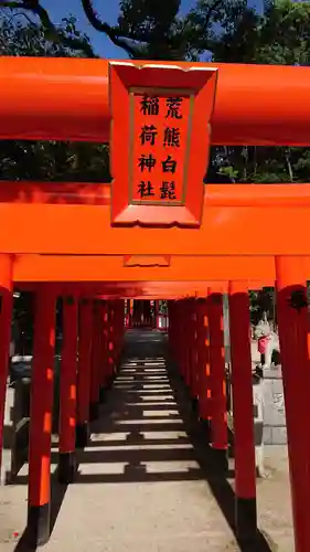 住吉神社の鳥居