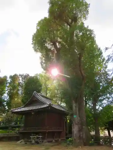 西向天神社のその他建物