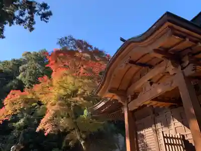 普門寺(切り絵御朱印発祥の寺)(愛知県)