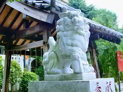 柏神社の狛犬