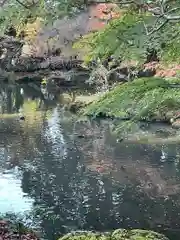 成田山新勝寺(千葉県)