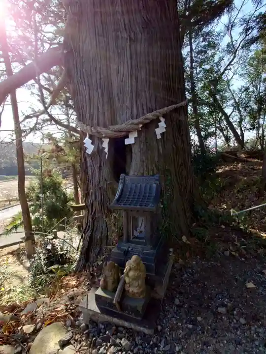 阿久津「田村神社」(郡山市阿久津町)旧社名:伊豆箱根三嶋三社(福島県)