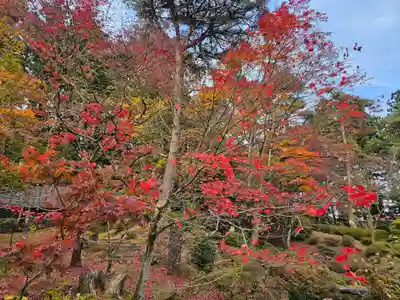 輪王寺(栃木県)
