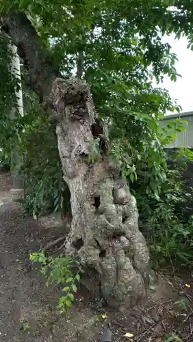 多賀神社(宮城県)