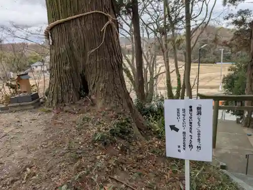 阿久津「田村神社」（郡山市阿久津町）旧社名：伊豆箱根三嶋三社(福島県)