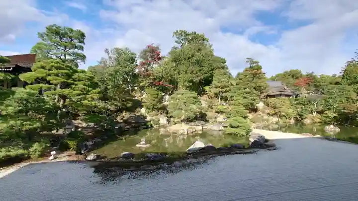仁和寺の{uncategorized: "未分類", other: "その他", undefined: "問題あり", building: "その他建物", grave: "お墓", sacred_gate: "鳥居", guardian: "狛犬", statue: "像", buddha: "仏像", history: "歴史", nature: "自然", garden: "庭園", animal: "動物", pagoda: "塔", temizu: "手水舎", mountain_gate: "山門・神門", sanctuary: "本殿・本堂", subordinate: "末社・摂社", art: "芸術", scenery: "景色", jizo: "地蔵", ema: "絵馬", goshuin: "御朱印", omikuji: "おみくじ", items: "授与品その他", amulet: "お守り", goshuincho: "御朱印帳", eats: "食事", festival: "お祭り", votive_dance: "神楽", shichigosan: "七五三参", wedding: "結婚式", experience: "体験その他", initially: "初詣", around: "周辺", anti_infection: "感染症対策"}