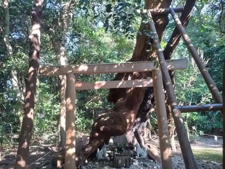 月夜見宮(豊受大神宮別宮)の自然