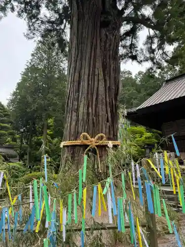 北口本宮冨士浅間神社(山梨県)