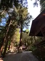 田沢神明宮(長野県)