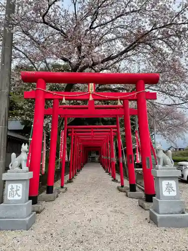 金井神社の鳥居