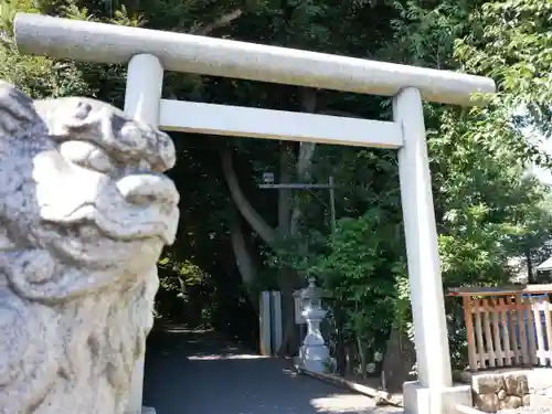 岩槻久伊豆神社の鳥居