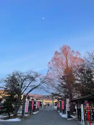 伊達神社(北海道)