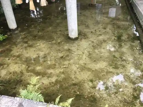 水分神社（上条弁財天）の庭園