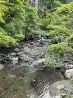 貴船神社の自然