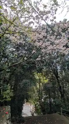 大念寺(京都府)