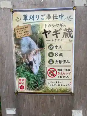 柏諏訪神社(千葉県)