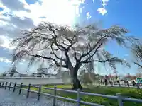 法亀寺(北海道)