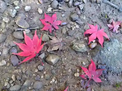 妙法寺(福井県)