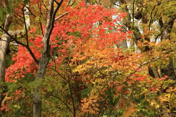 三輪神社の自然