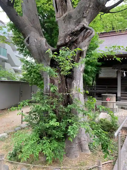 大鷲神社(千葉県)