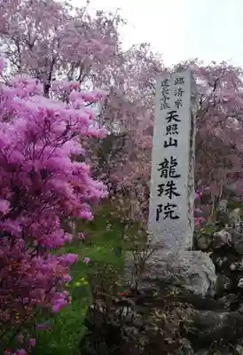 龍珠院のその他建物