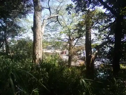 赤城神社の景色