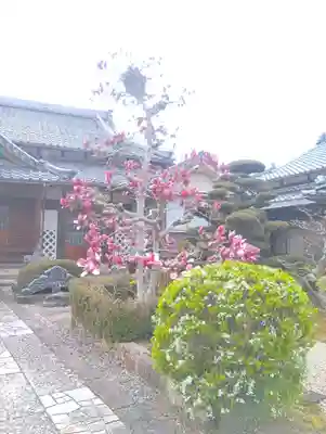 霊鷲院（曼陀羅寺塔頭）(愛知県)