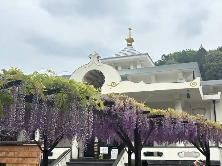 浄因寺(岐阜県)