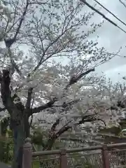 報国寺(神奈川県)