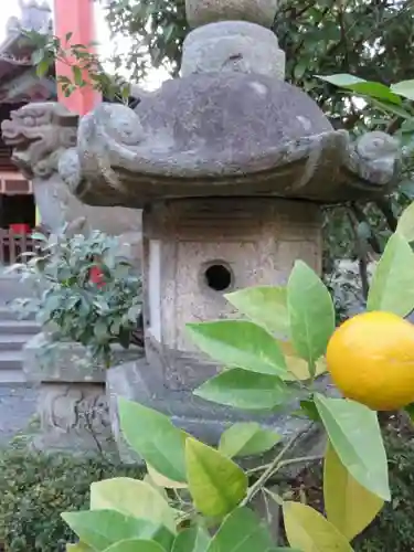 漢國神社の自然