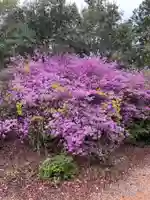 貴船神社の自然