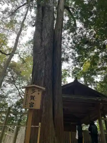 伊勢神宮外宮（豊受大神宮）の{uncategorized: "未分類", other: "その他", undefined: "問題あり", building: "その他建物", grave: "お墓", sacred_gate: "鳥居", guardian: "狛犬", statue: "像", buddha: "仏像", history: "歴史", nature: "自然", garden: "庭園", animal: "動物", pagoda: "塔", temizu: "手水舎", mountain_gate: "山門・神門", sanctuary: "本殿・本堂", subordinate: "末社・摂社", art: "芸術", scenery: "景色", jizo: "地蔵", ema: "絵馬", goshuin: "御朱印", omikuji: "おみくじ", items: "授与品その他", amulet: "お守り", goshuincho: "御朱印帳", eats: "食事", festival: "お祭り", votive_dance: "神楽", shichigosan: "七五三参", wedding: "結婚式", experience: "体験その他", initially: "初詣", around: "周辺", anti_infection: "感染症対策"}